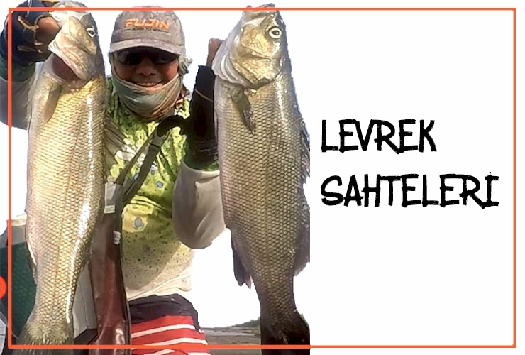 Levrek Sahteleri
