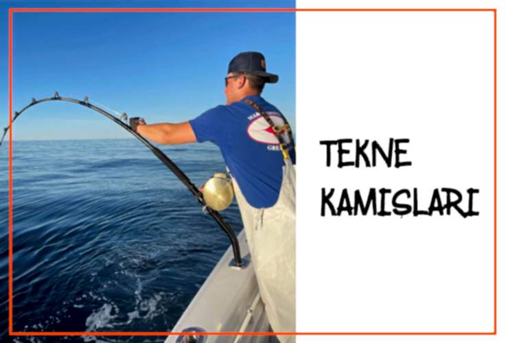 Tekne Kamışları