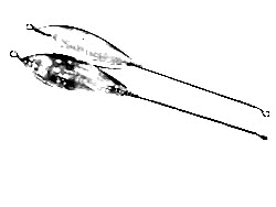 KAIRA BEYAZ BOMBARDO SAMANDIRA 50GR - KAIRA