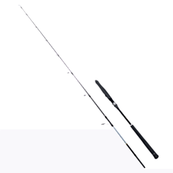 RYUJI SEAWOLF PLUS FUJI 1.98M 30-150GR 2P JIG KAMIŞ - RYUJI